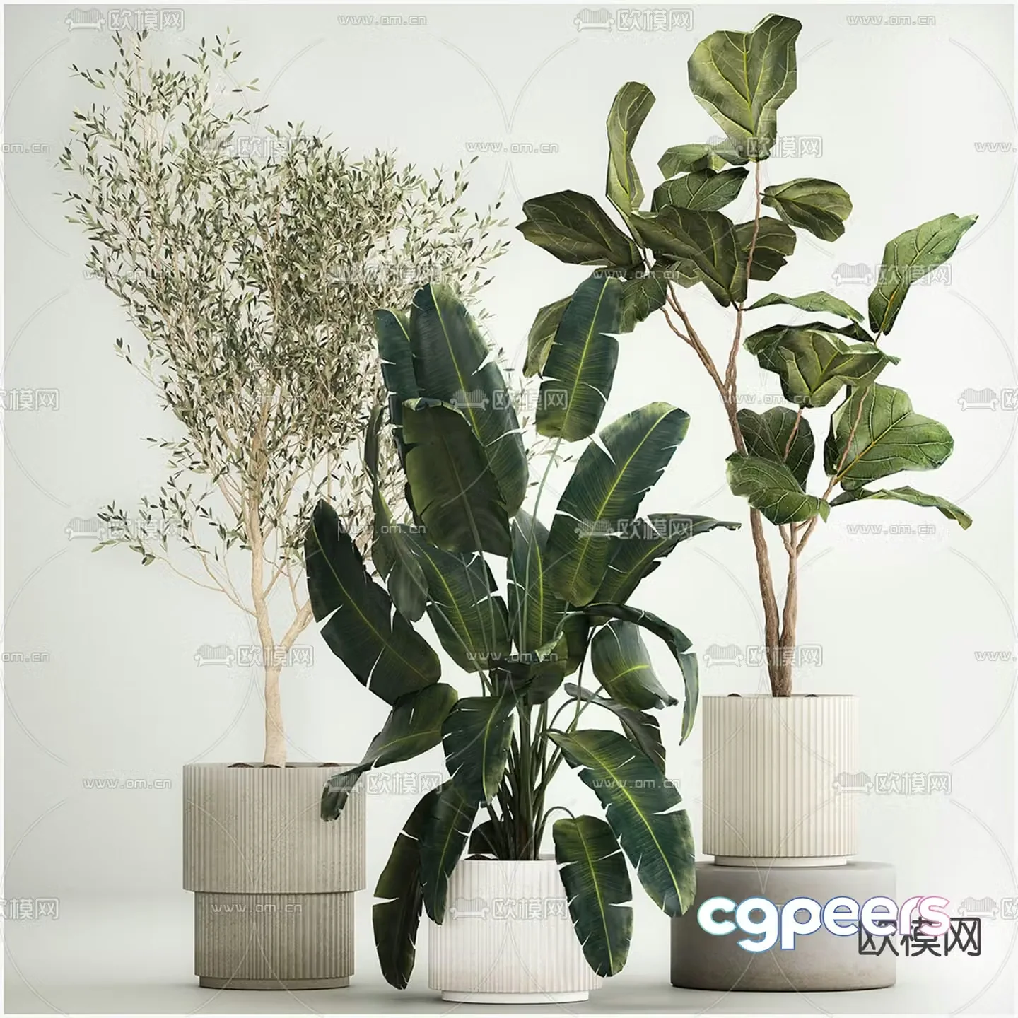 Green plants Potted plants Turtle back leaves Banana leaves 3D model
