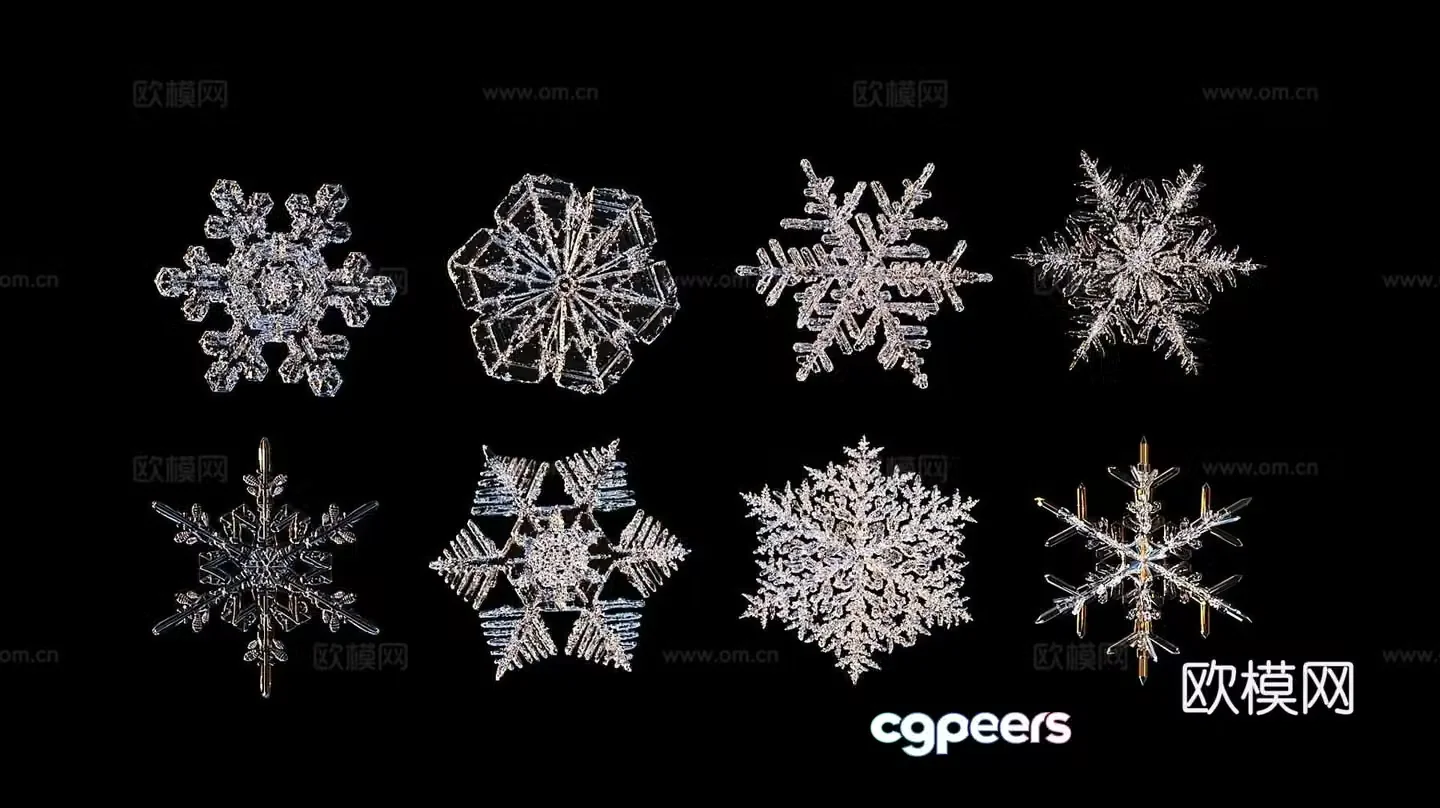 Snowflake 3d model