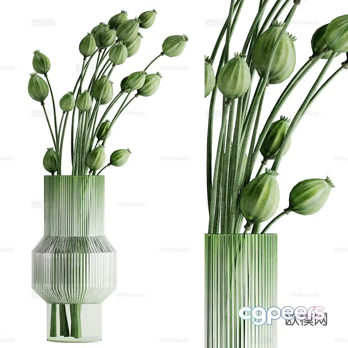 Green plant hydroponic vase flower 3d model