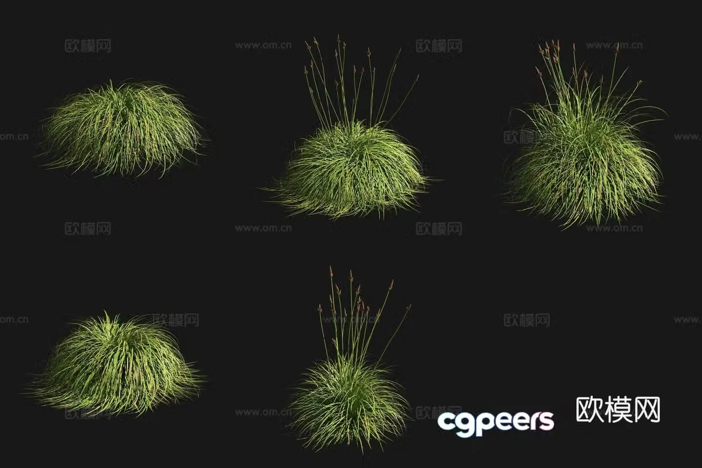 Spring moss grass garden plants flowers and bushes 3d model