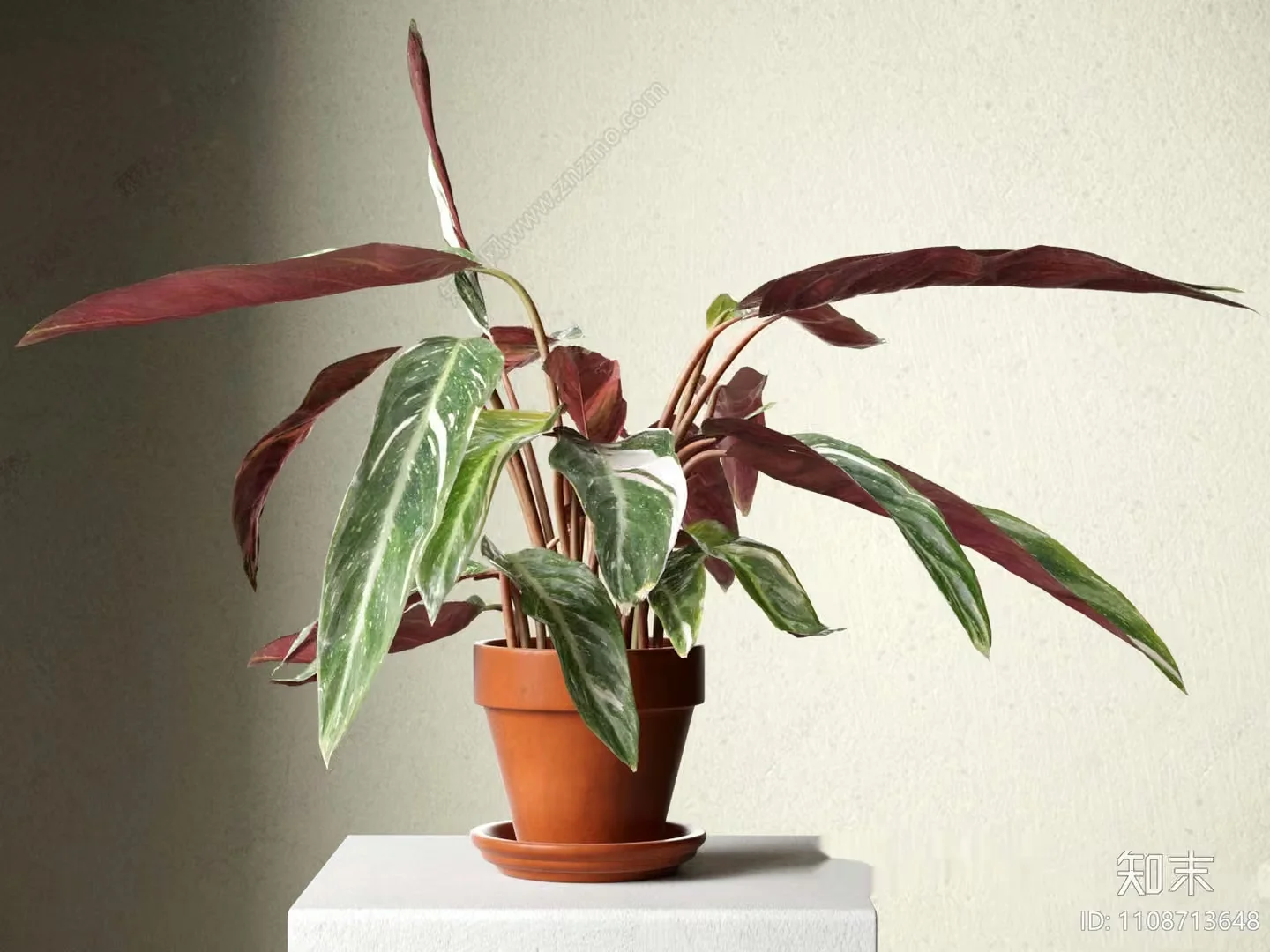 A Potted Plant With Green And Red Leaves 3D Model – 18366 – VRAY Render