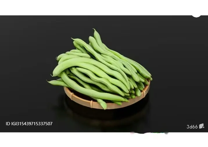 A Wooden Bowl Filled With Green Beans 3D Model – 13030 – VRAY Render