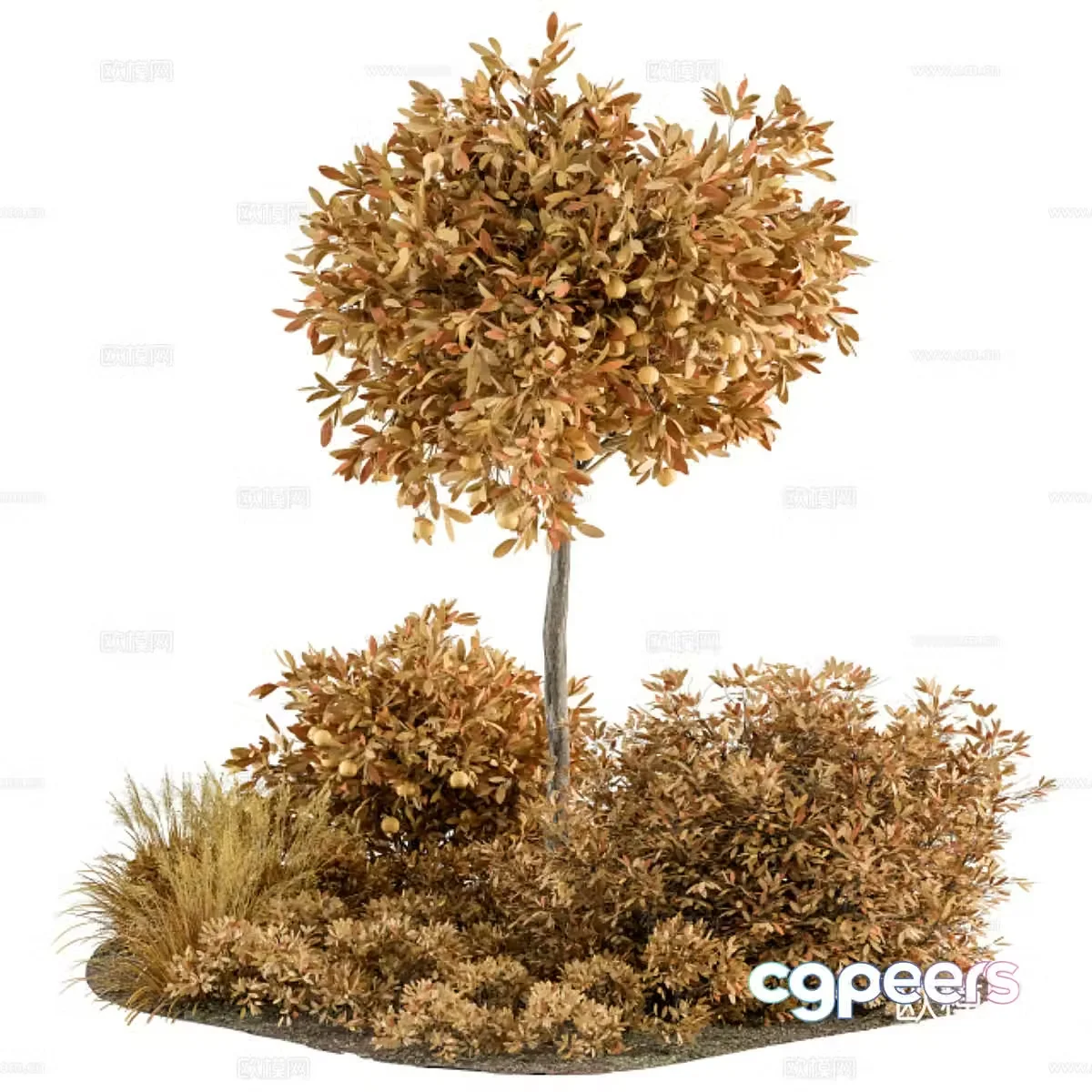 3d model of autumn trees and palm trees