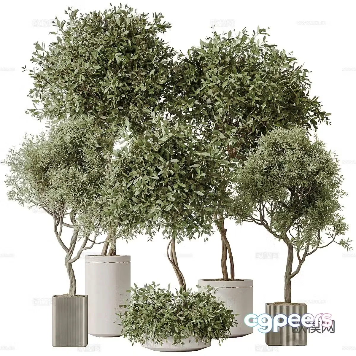Green plant potted plants Decorative green plants Balcony green plants Outdoor green plants Indoor green plants Flooring 3D model