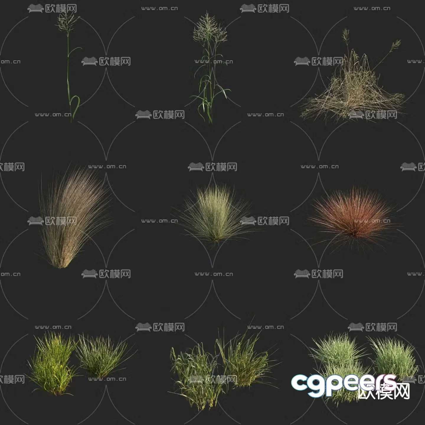 Water sweet thatch sky blue macaque blue macaque sour macaque sky blue macaque wet macaque flowers and plants 3D model