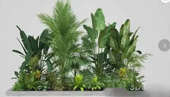 Tropical House Plants 3D Model – 17360 – VRAY Render
