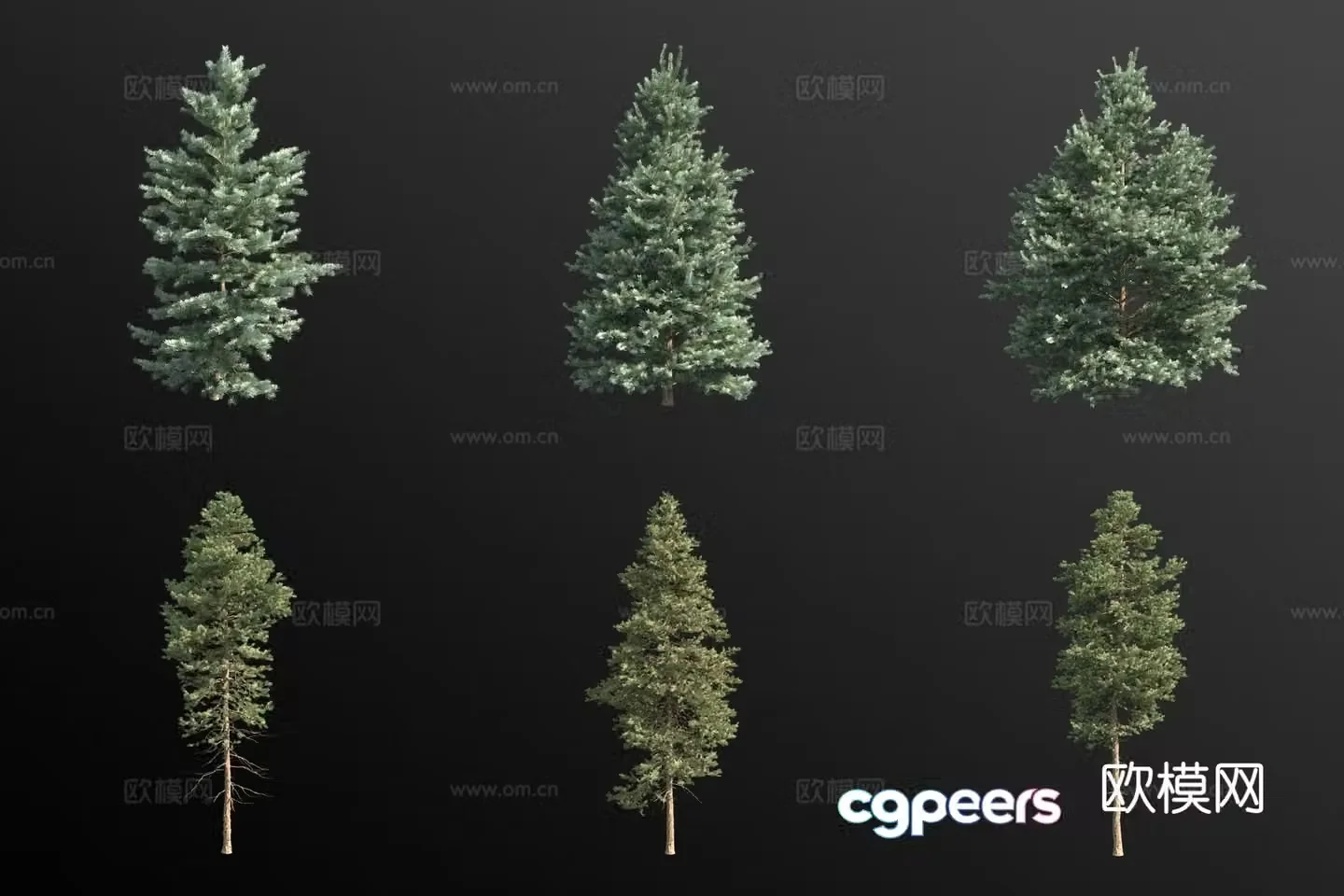 white fir tree landscape tree 3d model