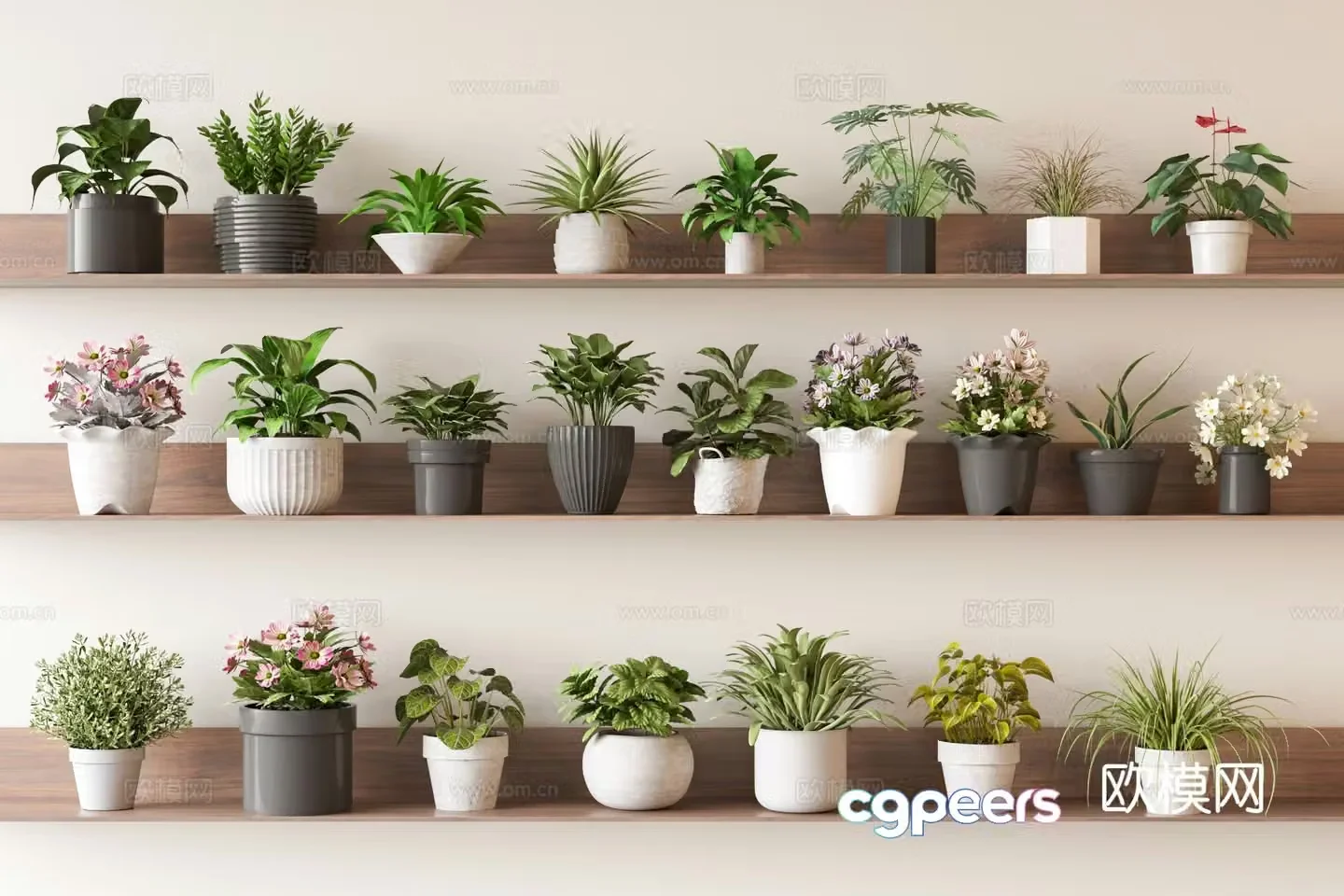 Small potted plant on desktop small green plant 3D model