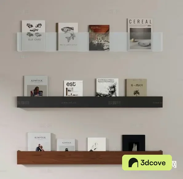 Wall-Mounted Bookshelves