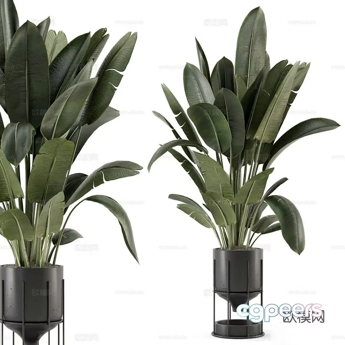 Vase flowers 3d model