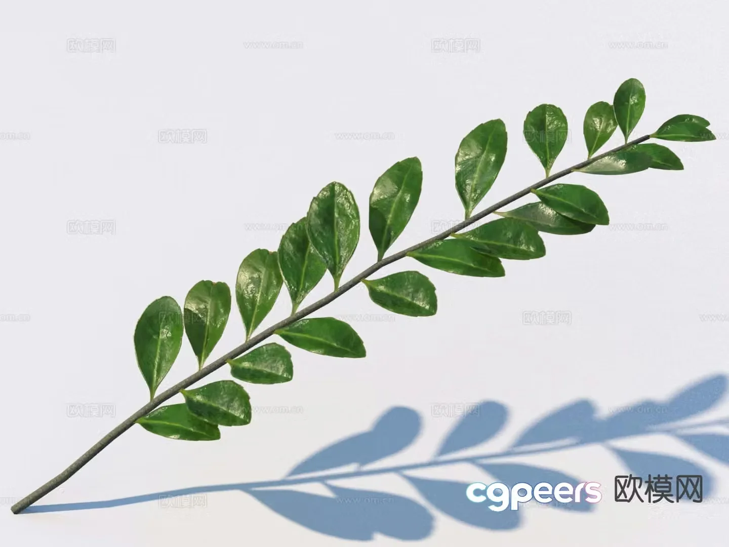 green leaves leaves 3d model