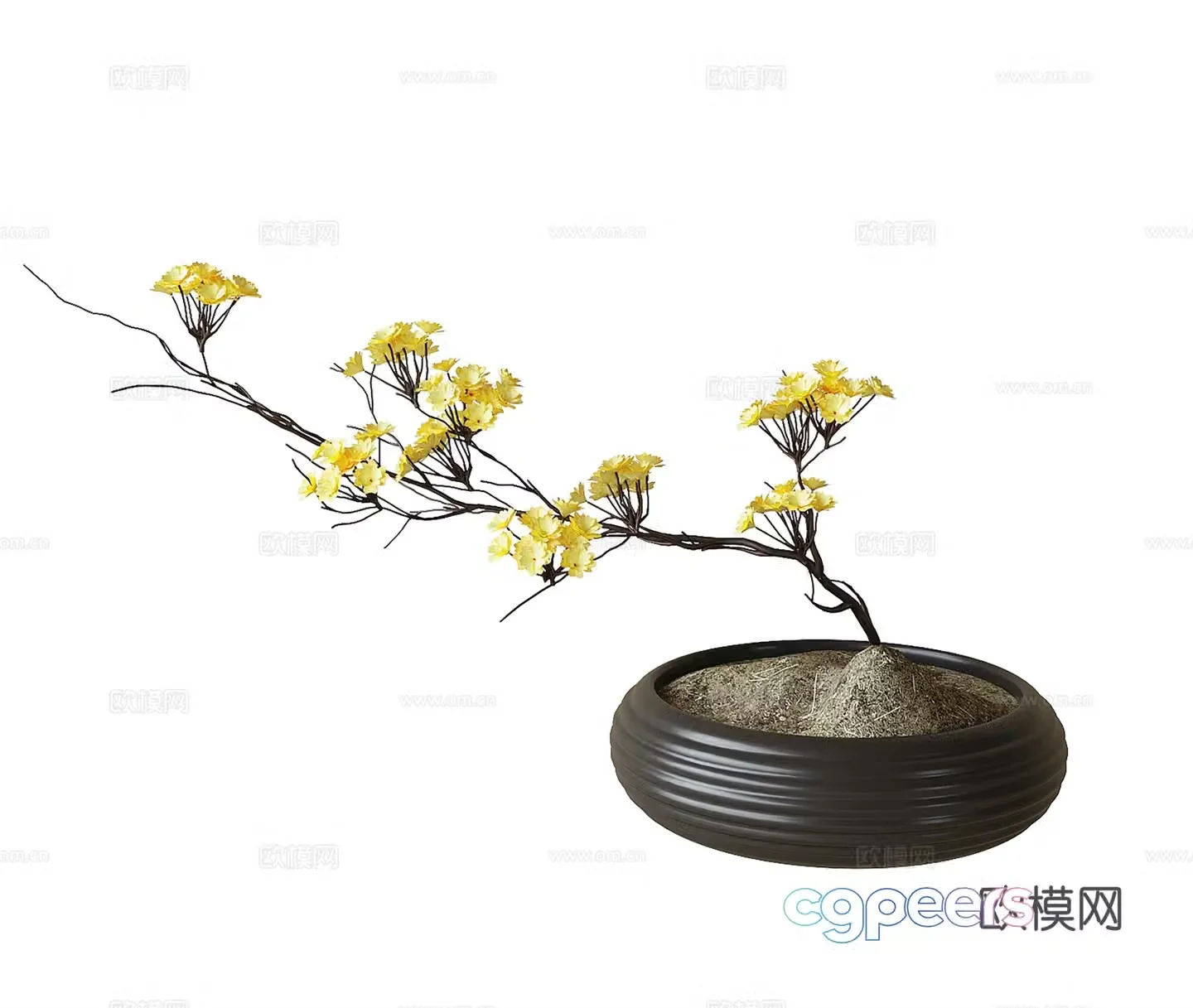 Modern potted bonsai plant ornaments 3D model
