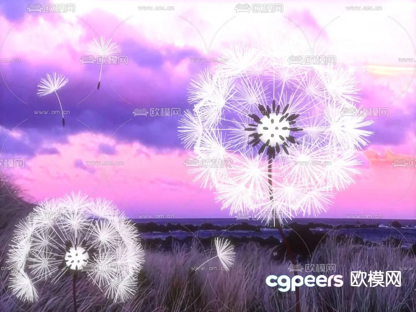 Dandelion 3d model