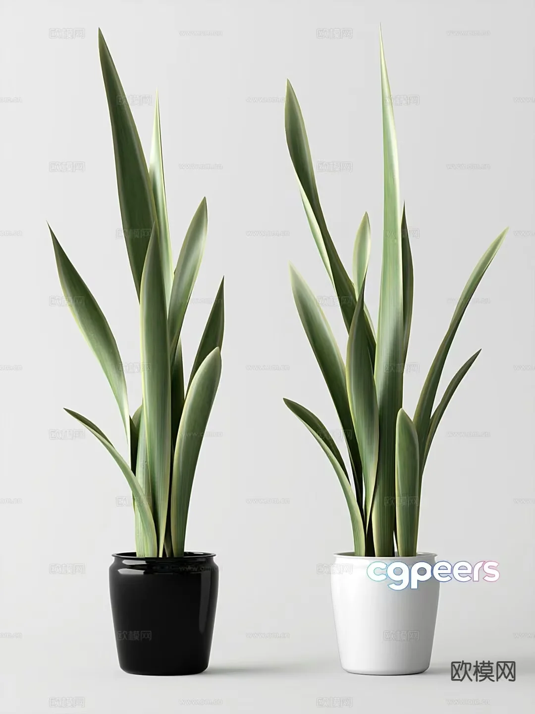 Two Potted Plants 3D Model – 8348 – VRAY Render