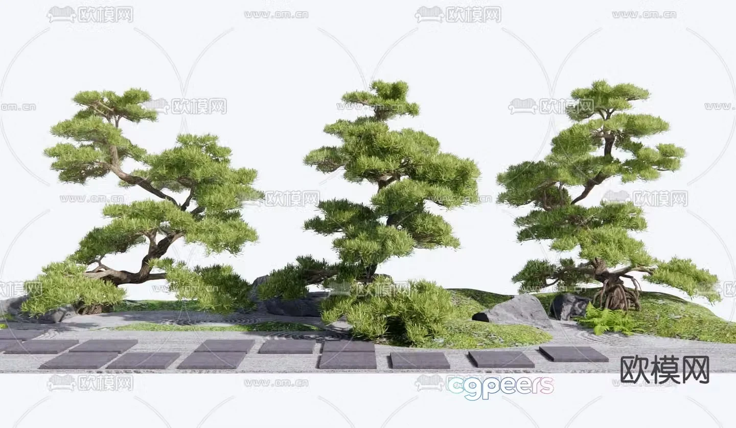 Landscape sketch plant landscaping welcoming pine 3D model