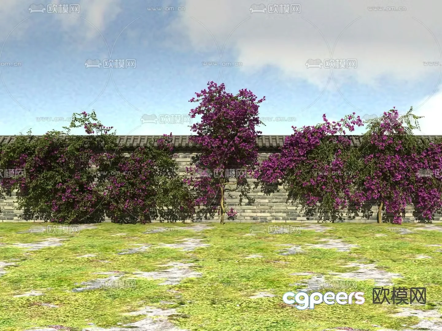 Vine-like shrub Leaf Flower Vine 3D Model