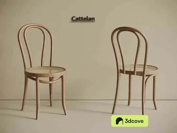 Two Wooden Chairs