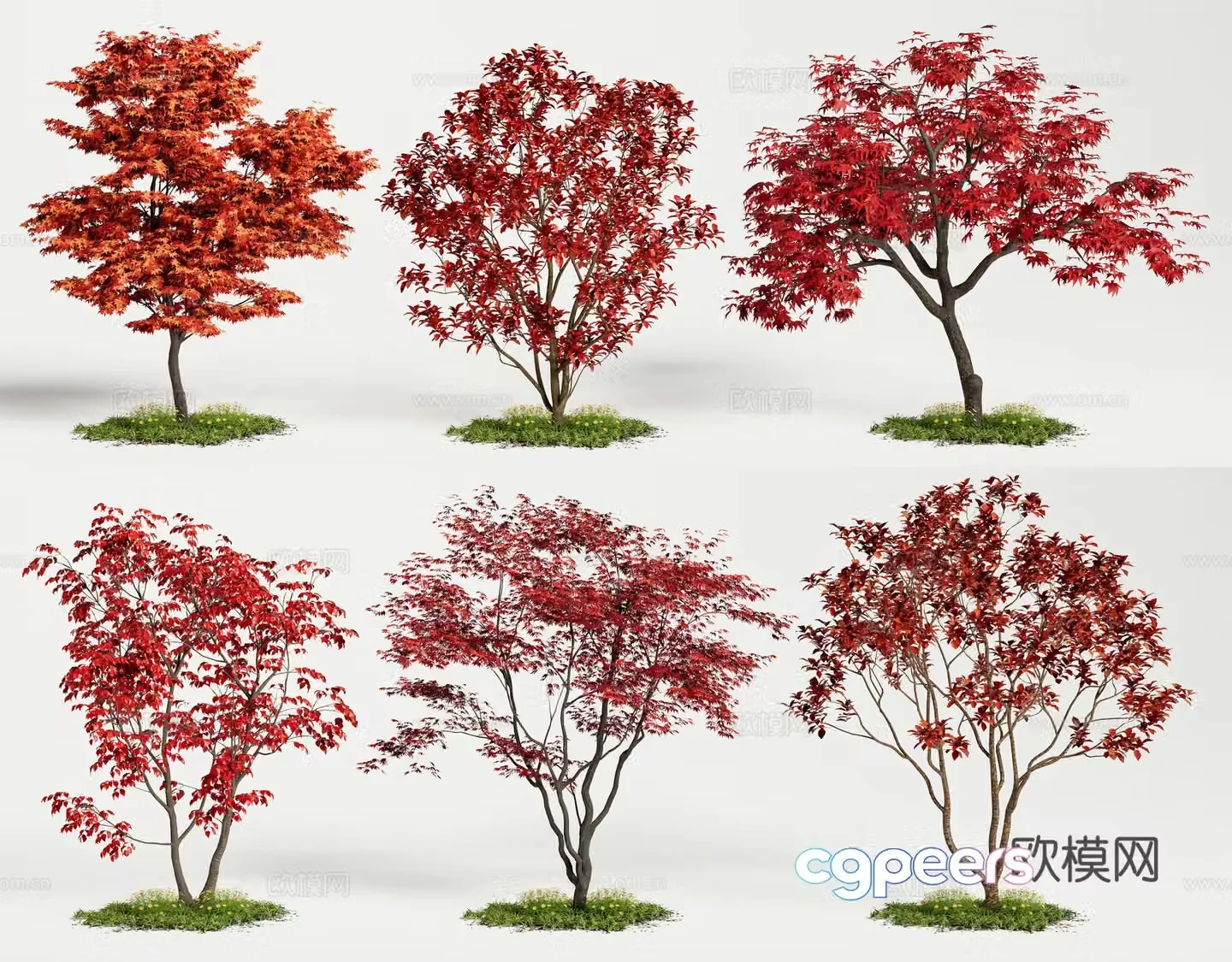 Arbor Red Maple Landscape Tree Acer Acer Maple Leaf Tree Red Leaf Tree 3D Model