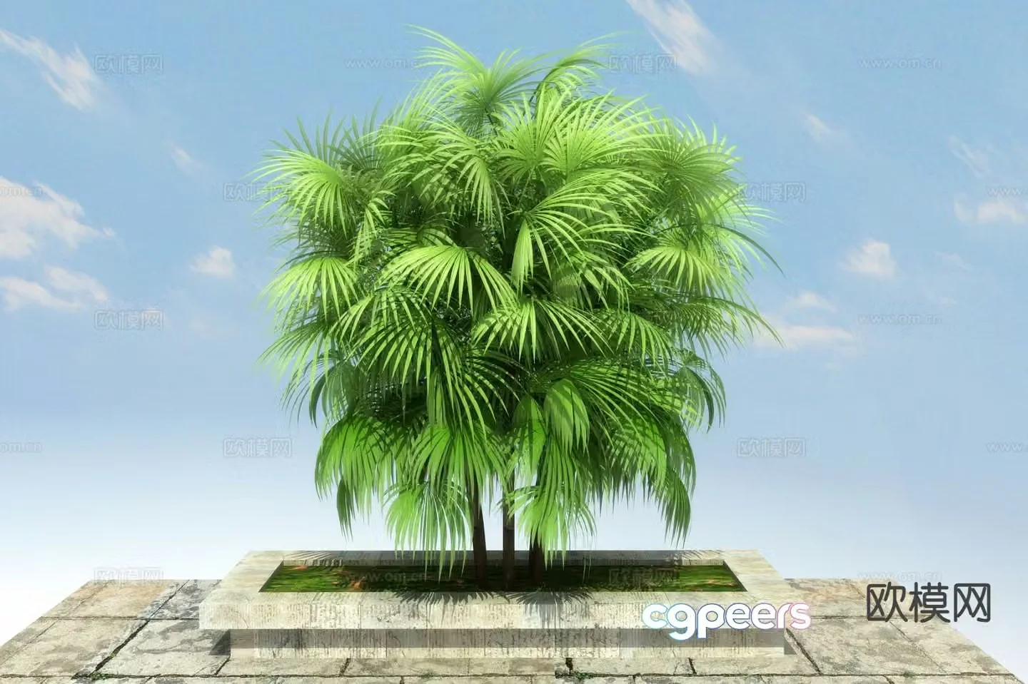 green leaves bamboo 3d model