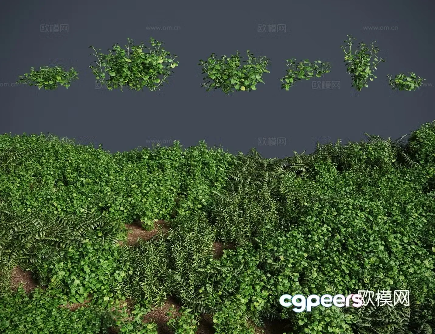 apple grass lawn shrub 3d model