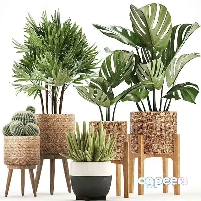 3ds Max Free – Plant collection 321