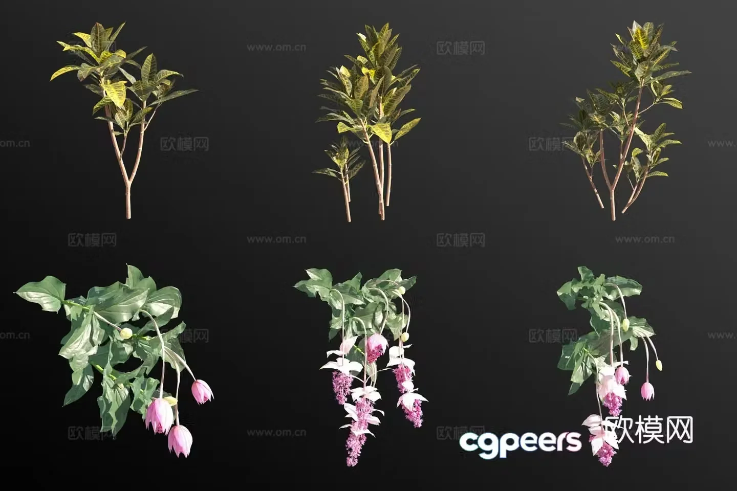 Discolored wood rosewood flowers and plants 3D model