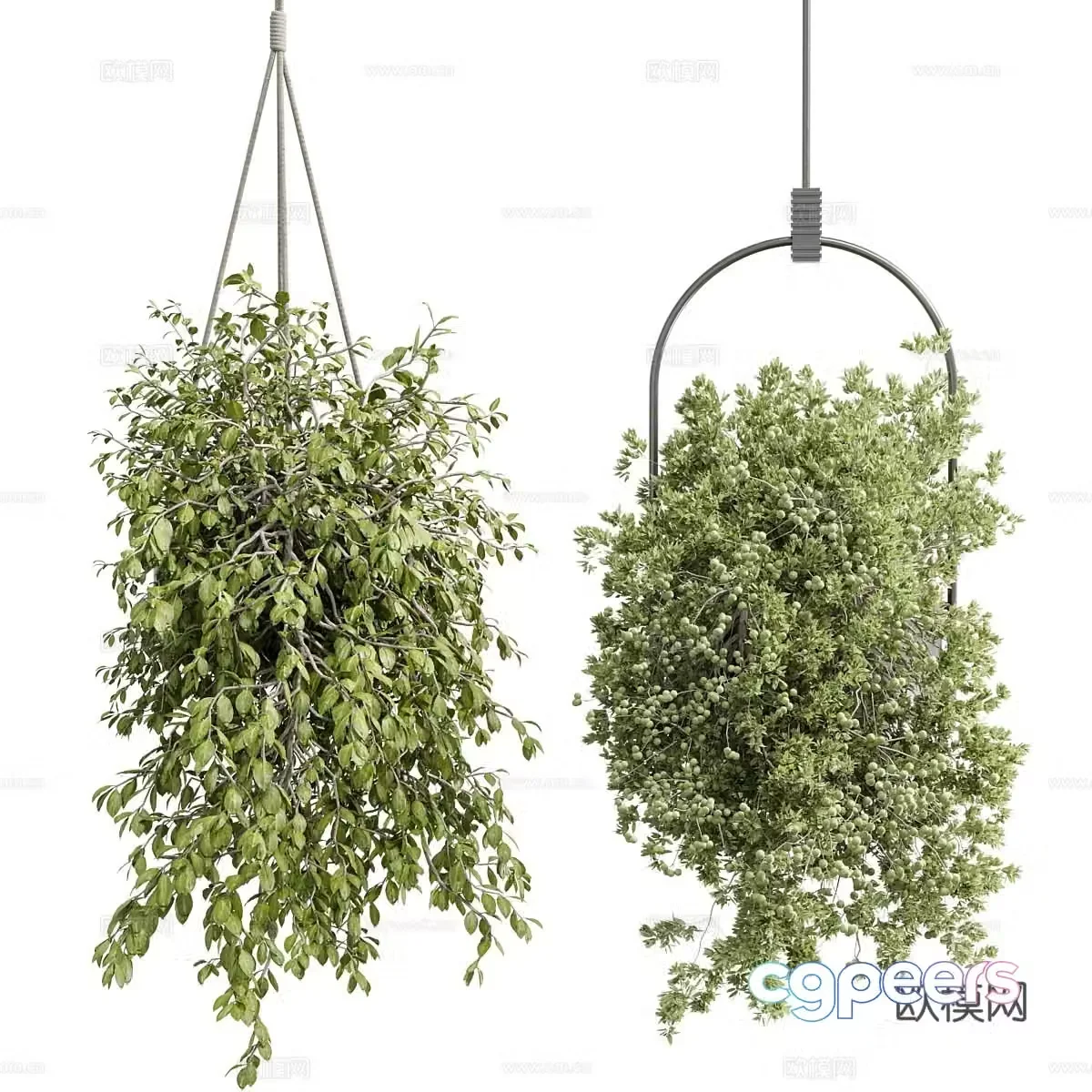 Outdoor green plants hanging basket hanging basket green plants decorative green plants outdoor hanging basket homestay hanging basket 3D model