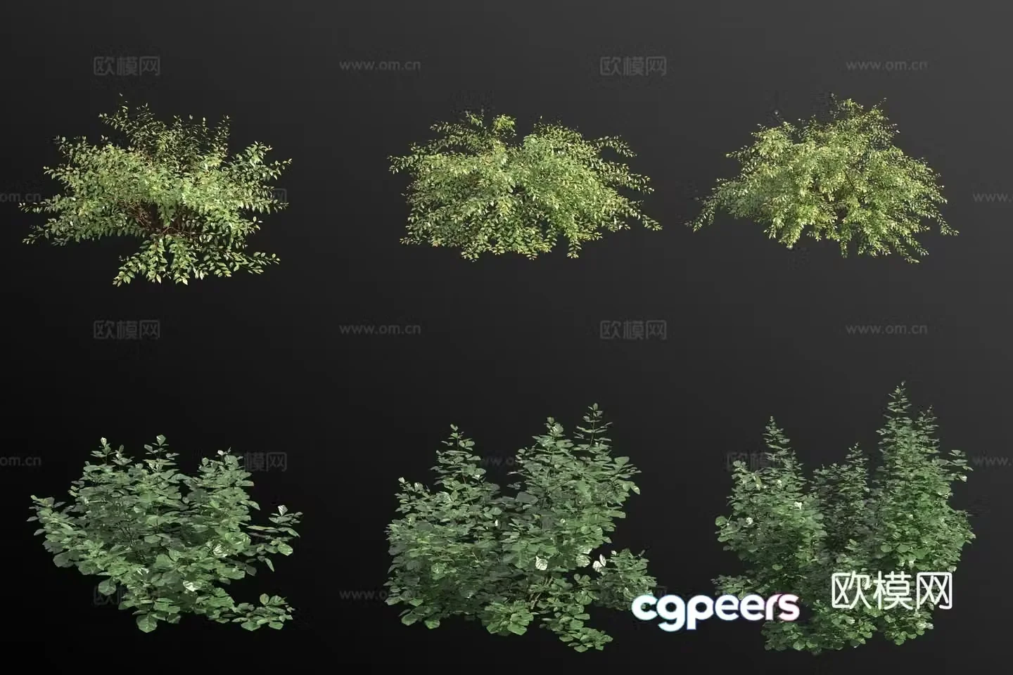 Aromatic sumac shrub 3d model