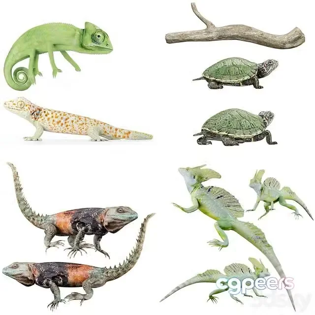3ds Max Free – Reptile Collection Set