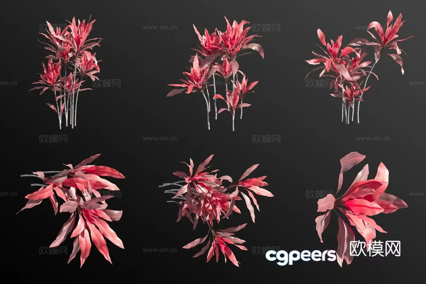 3D model of banana flowers and plants