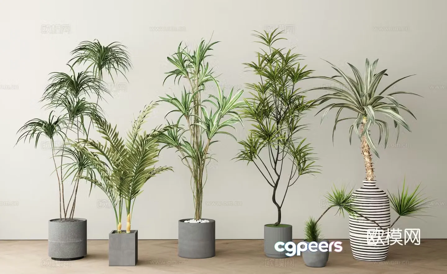 Modern green plant pot plant 3d model