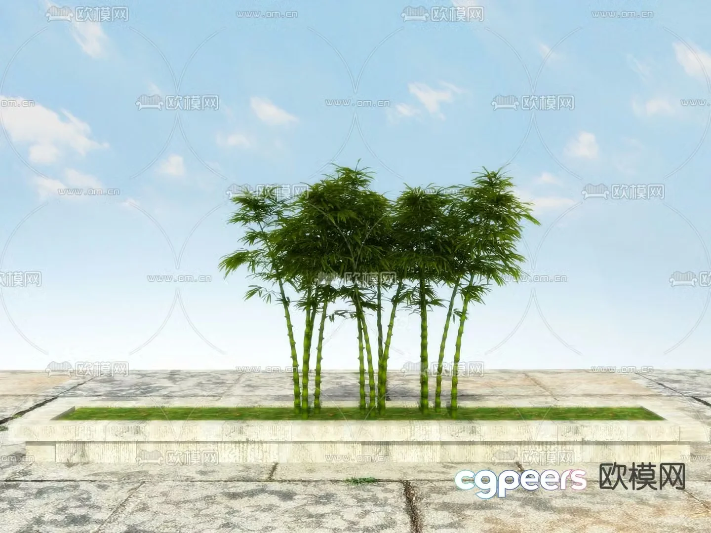 Arhat bamboo Buddha belly bamboo 3D model