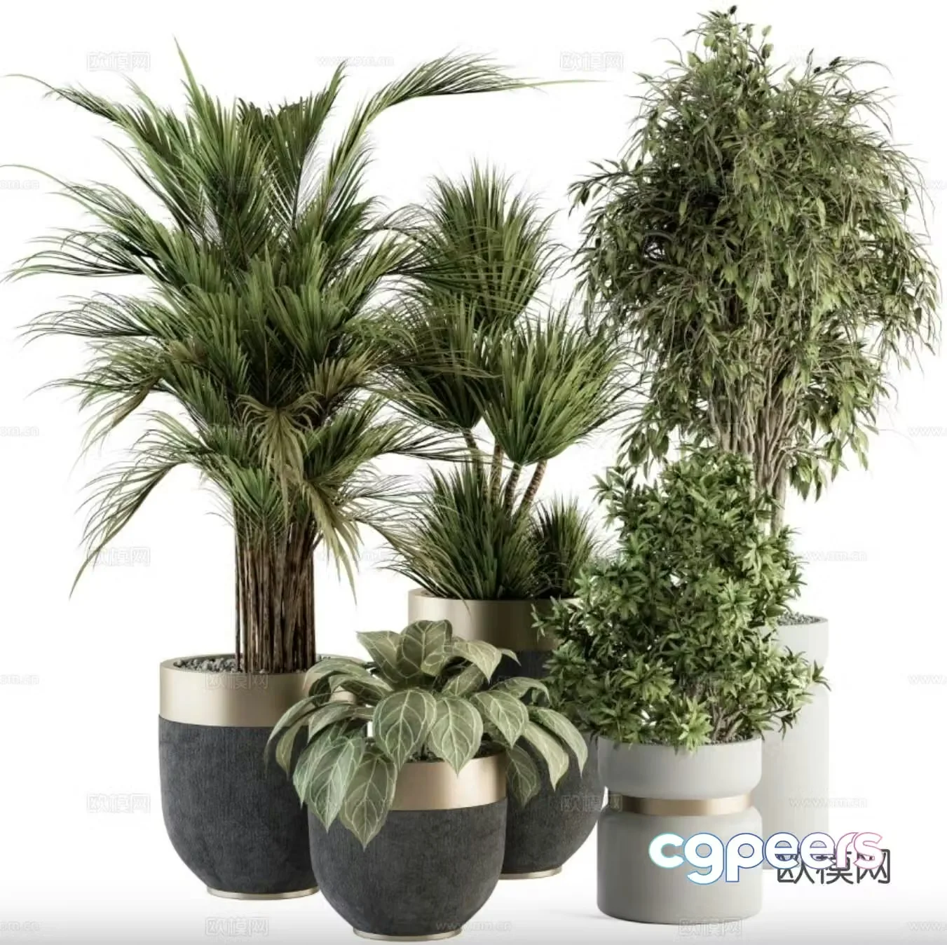 Floor green plant potted plant 3D model
