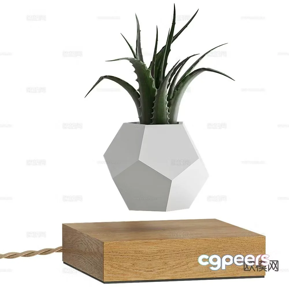 Flyte desktop small potted plant reed 3d model