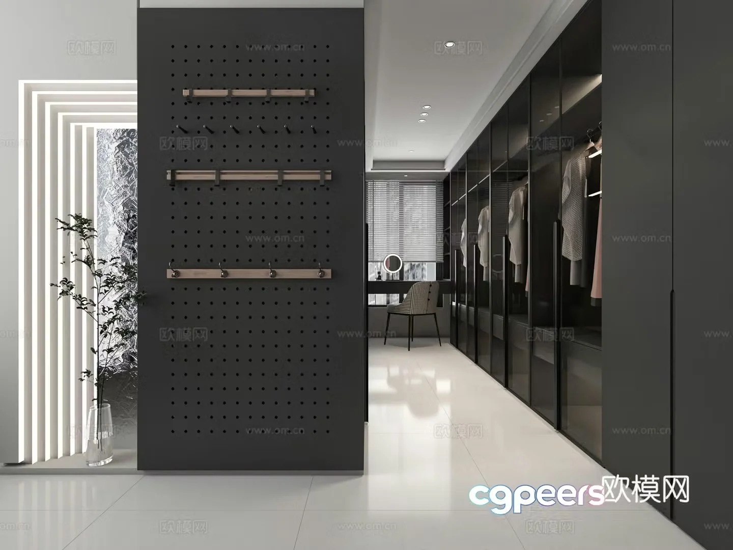 Modern cloakroom 3d model