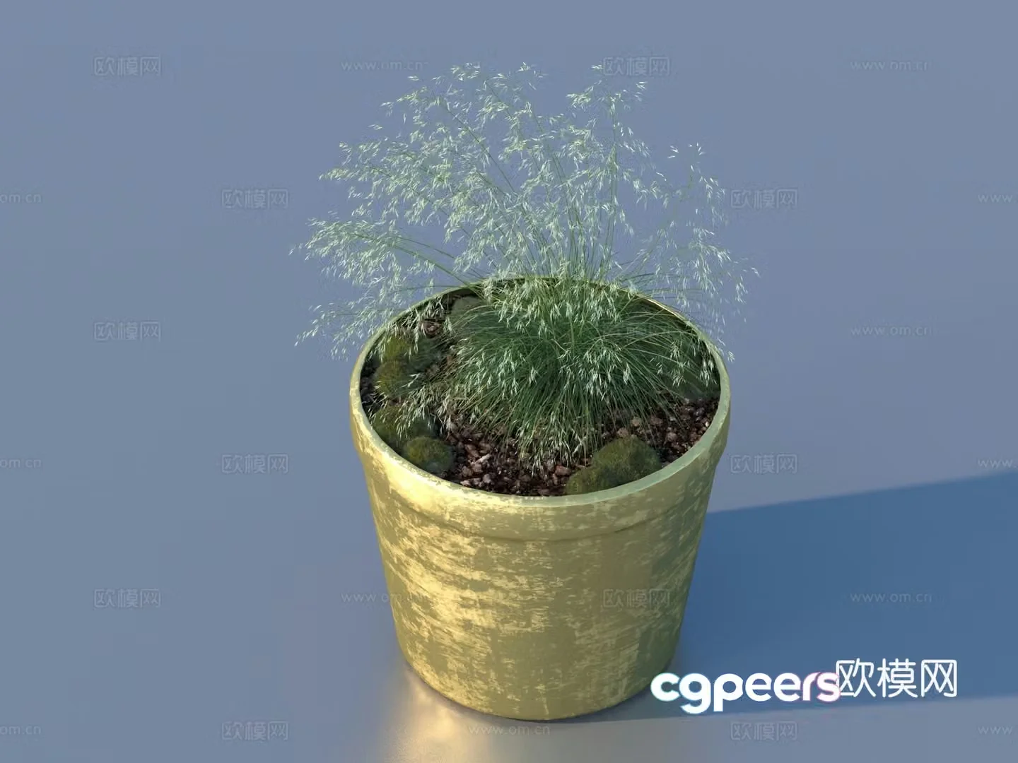 flowerpot potted plant green plant plant 3d model