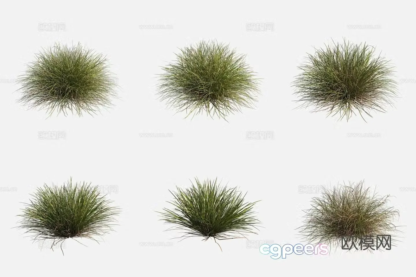 3D model of tan moss grass wetland plants