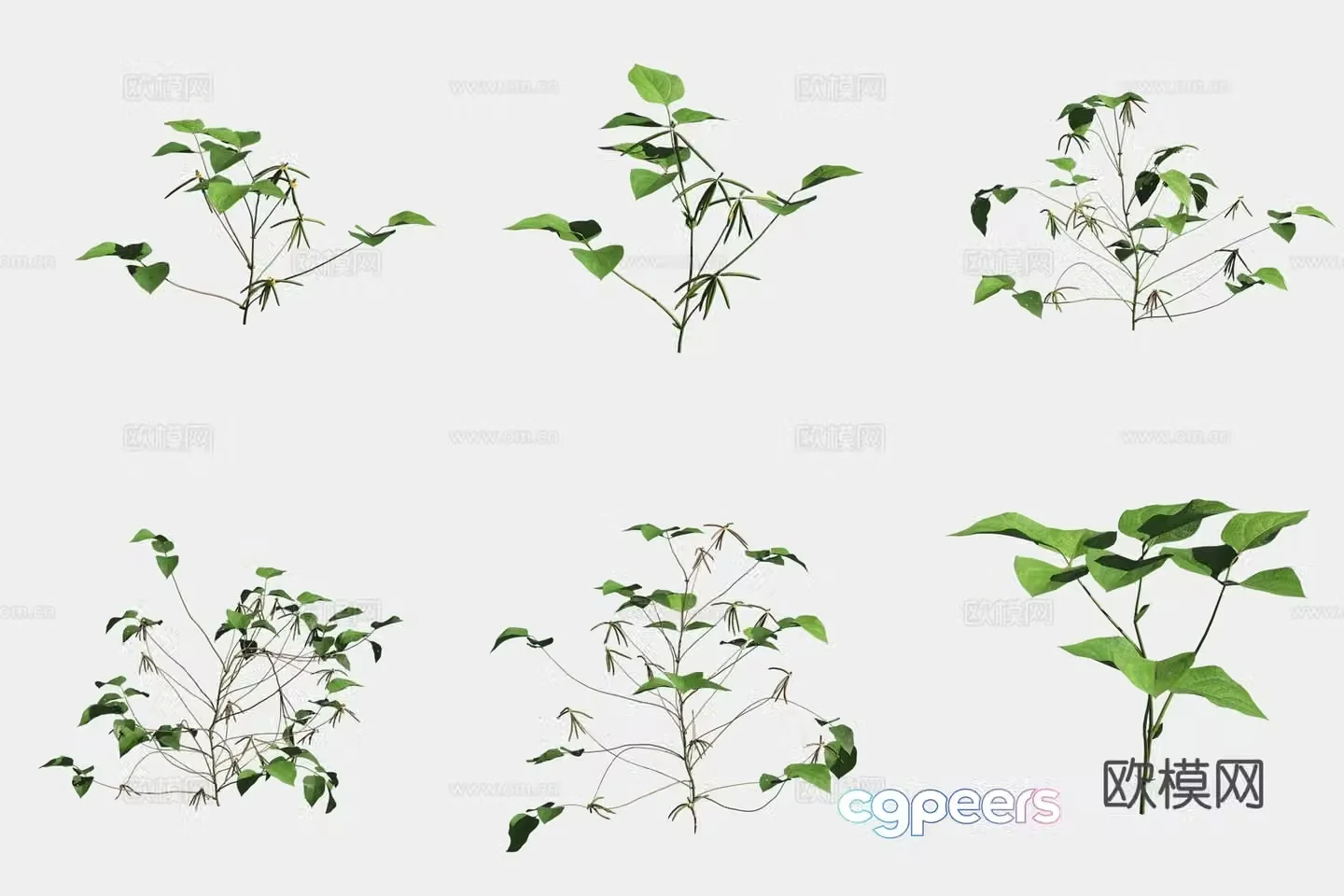 Mung bean crops crops vegetables 3d model