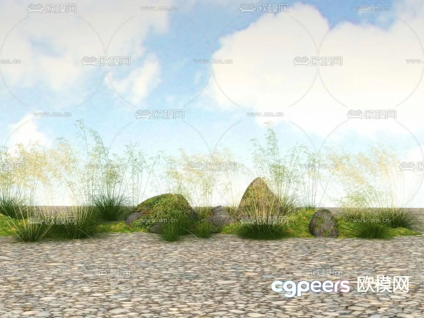 Flowers and plants Wildflowers 3D model