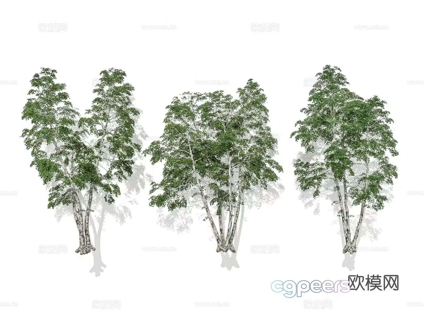 Modern street trees trees clustered trees garden garden plant combination 3D model