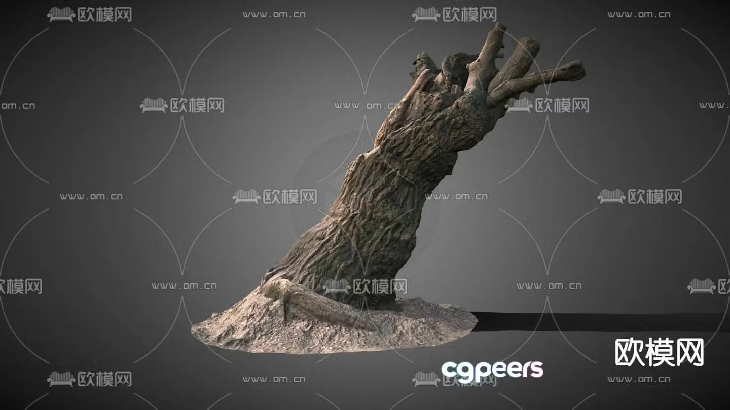 Modern trunk 3d model