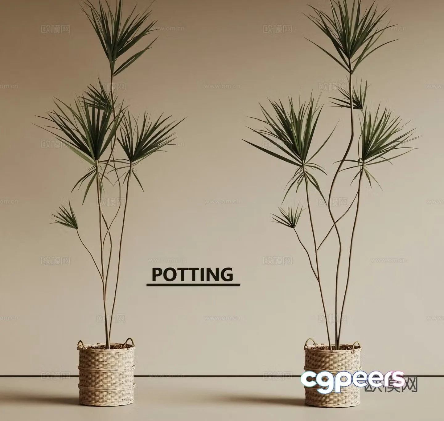 Idea plant pot green plant thousand-year-old wood 3d model