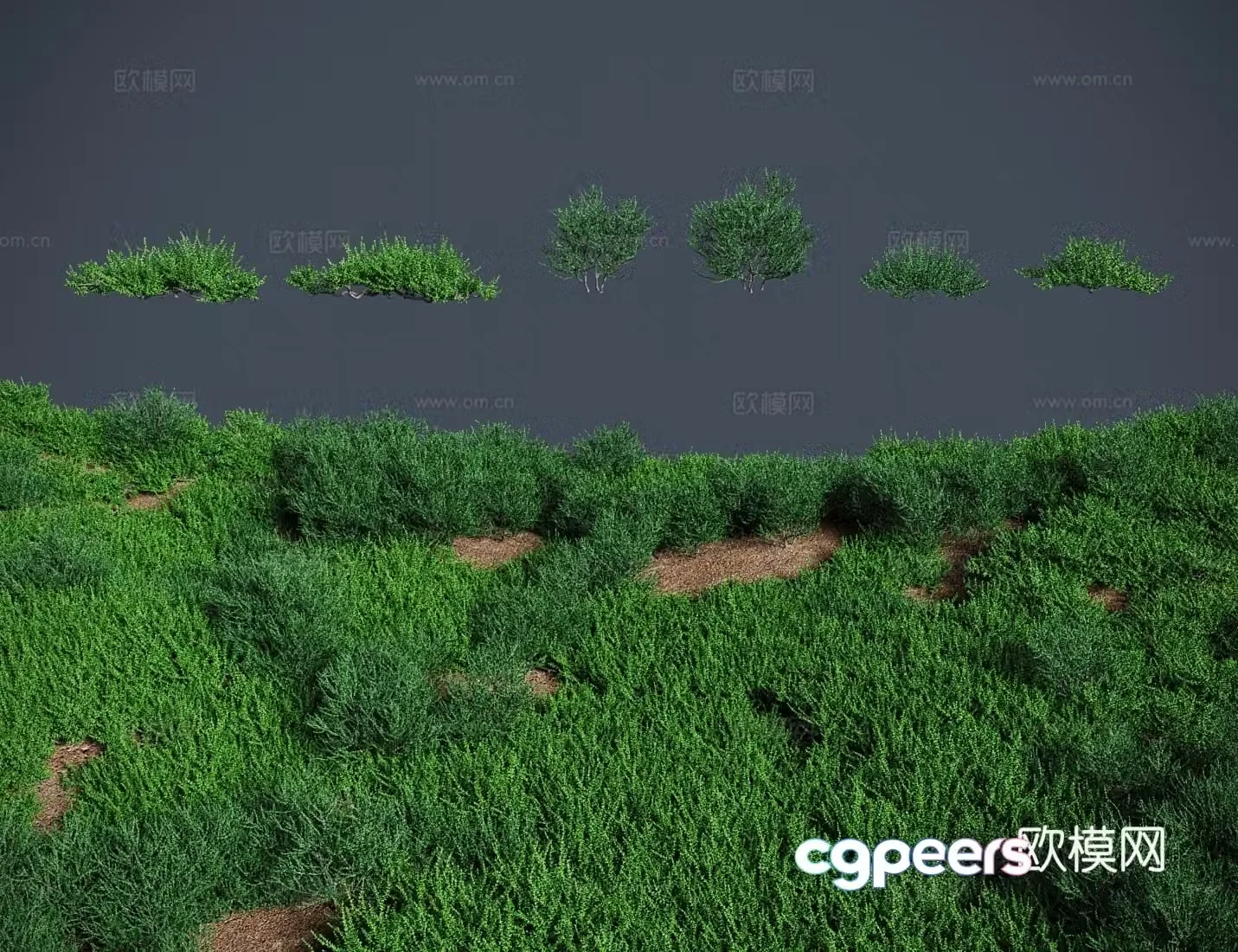 Modern meadow lawn Salt claw grass shrub 3d model