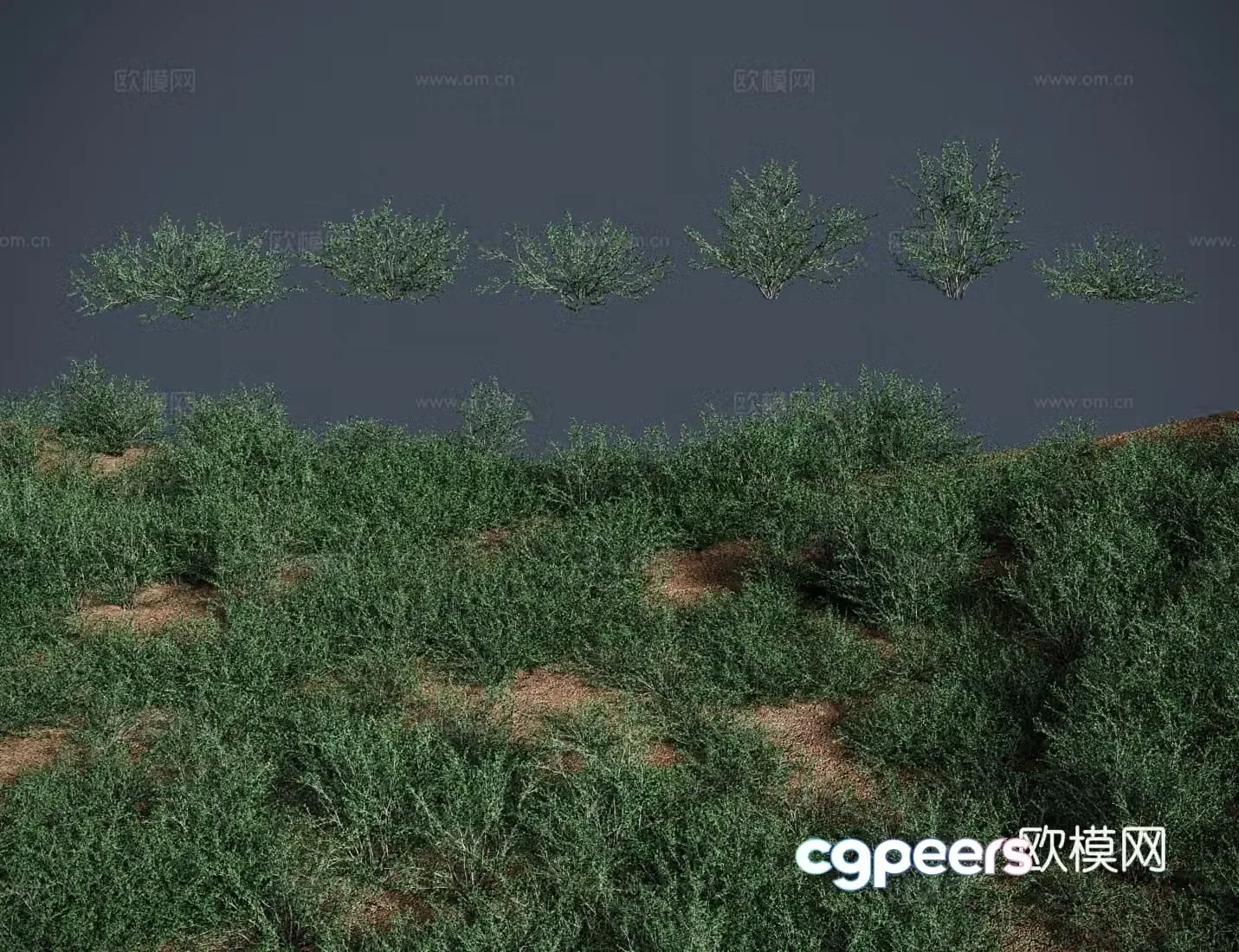 modern lawn lawn bare fruit tree lawn shrub 3d model