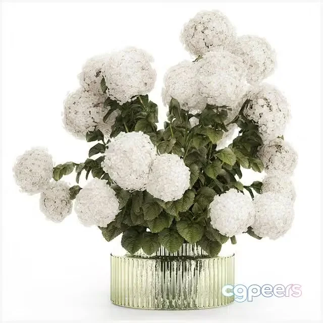 3ds Max Free – Large lush festive bouquet in a glass green vase with white hydrangea. Set 582