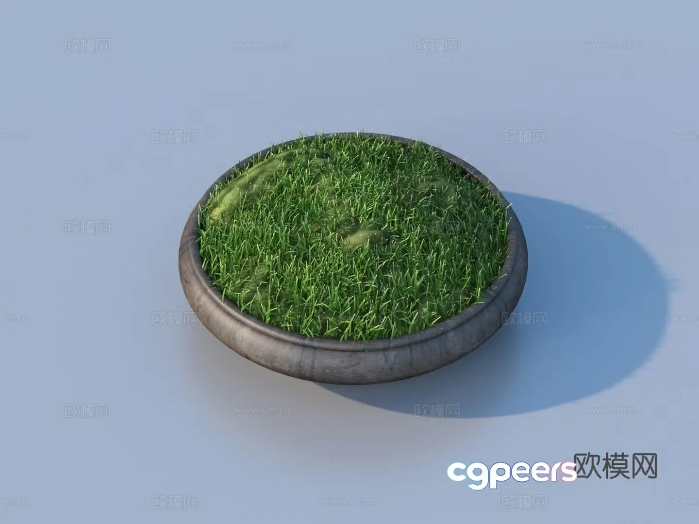 Bonsai Moss Bonsai Flowerpot Pot Plant Green Plant Plant 3D Model