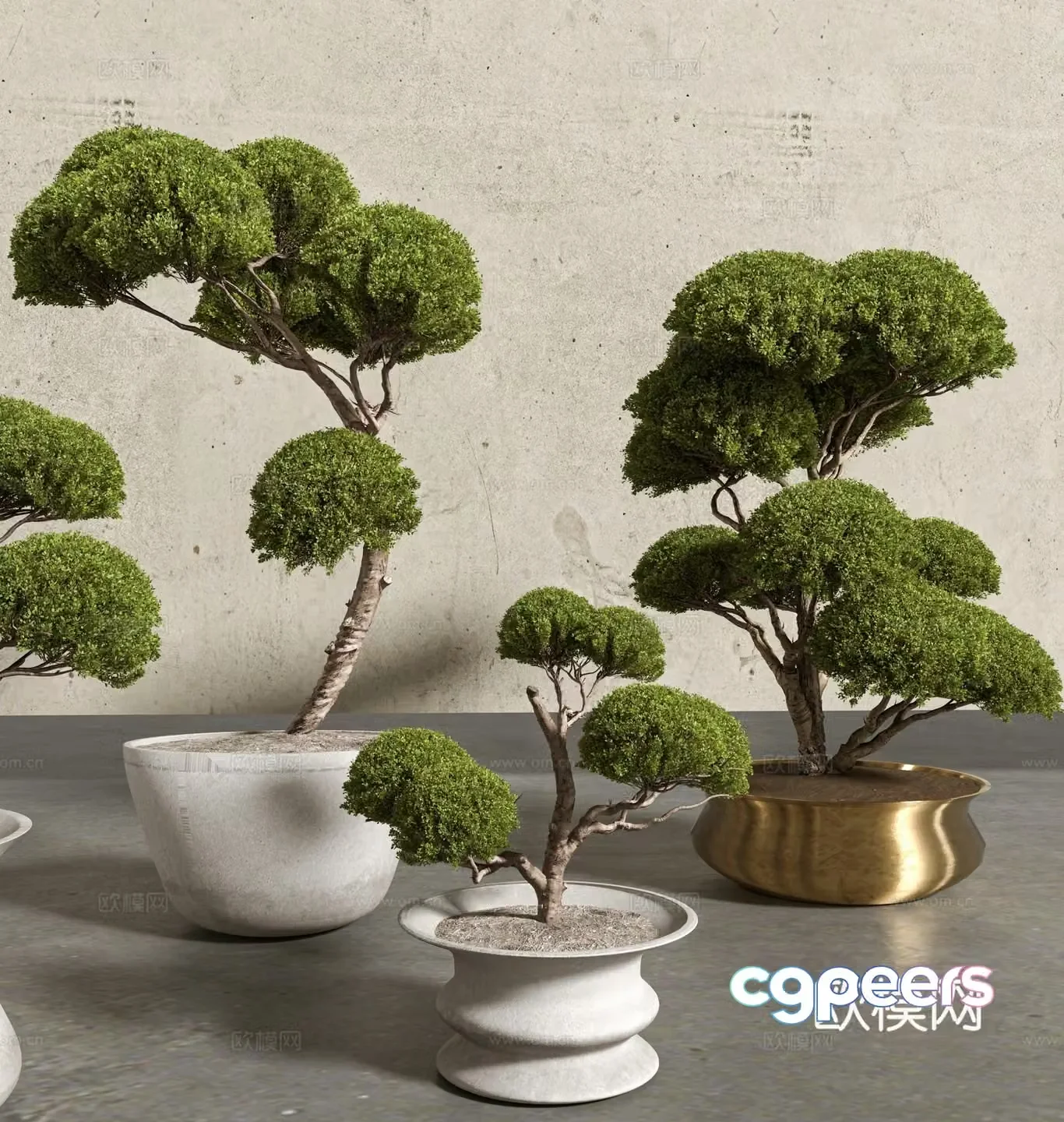 Chinese bonsai bonsai 3d model