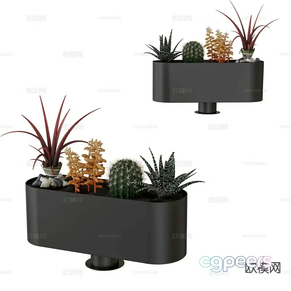 Fora Form Potted Bonsai Desktop Green Plant 3D Model