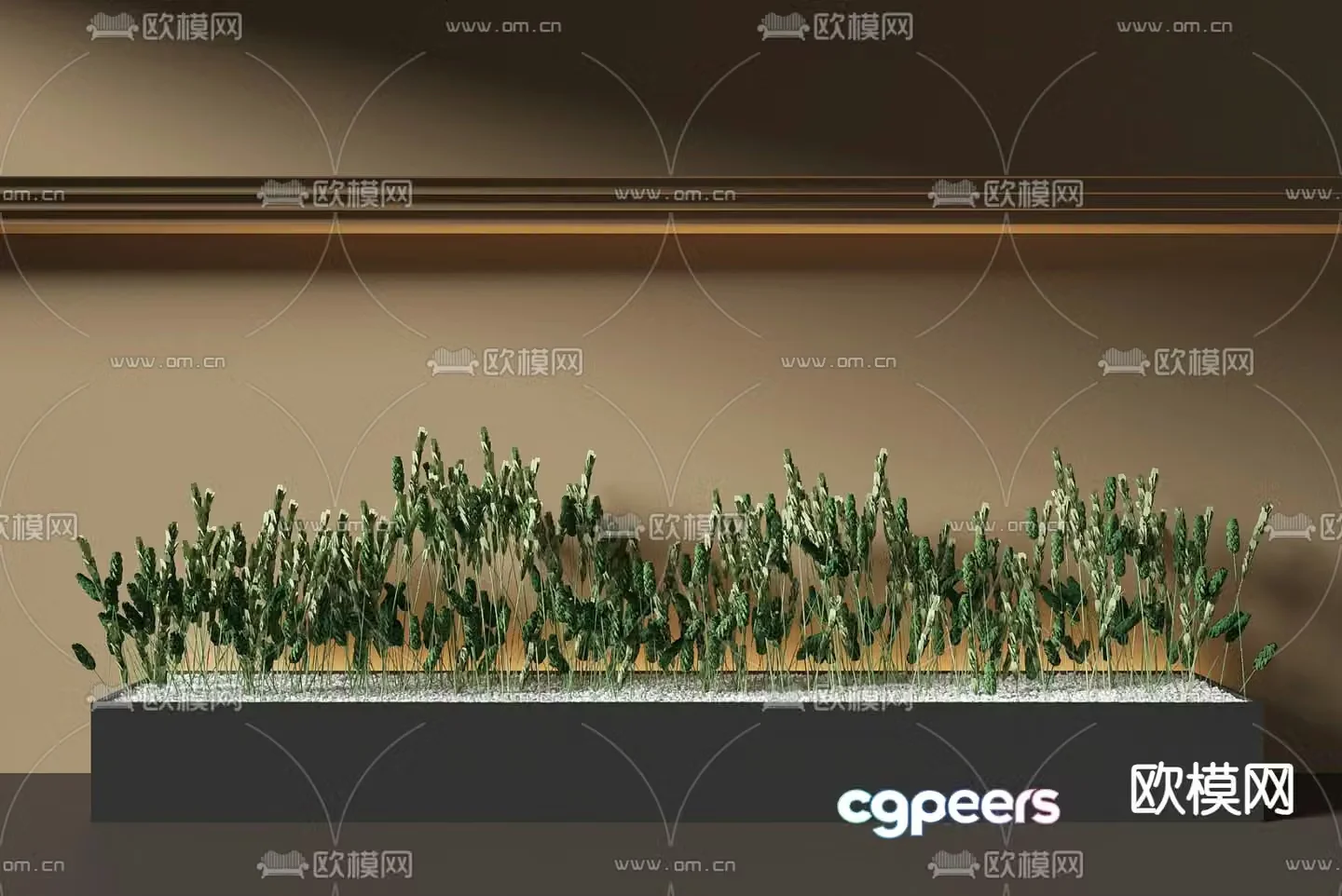 Flower tank flower pond flower bed wheat ear 3D model