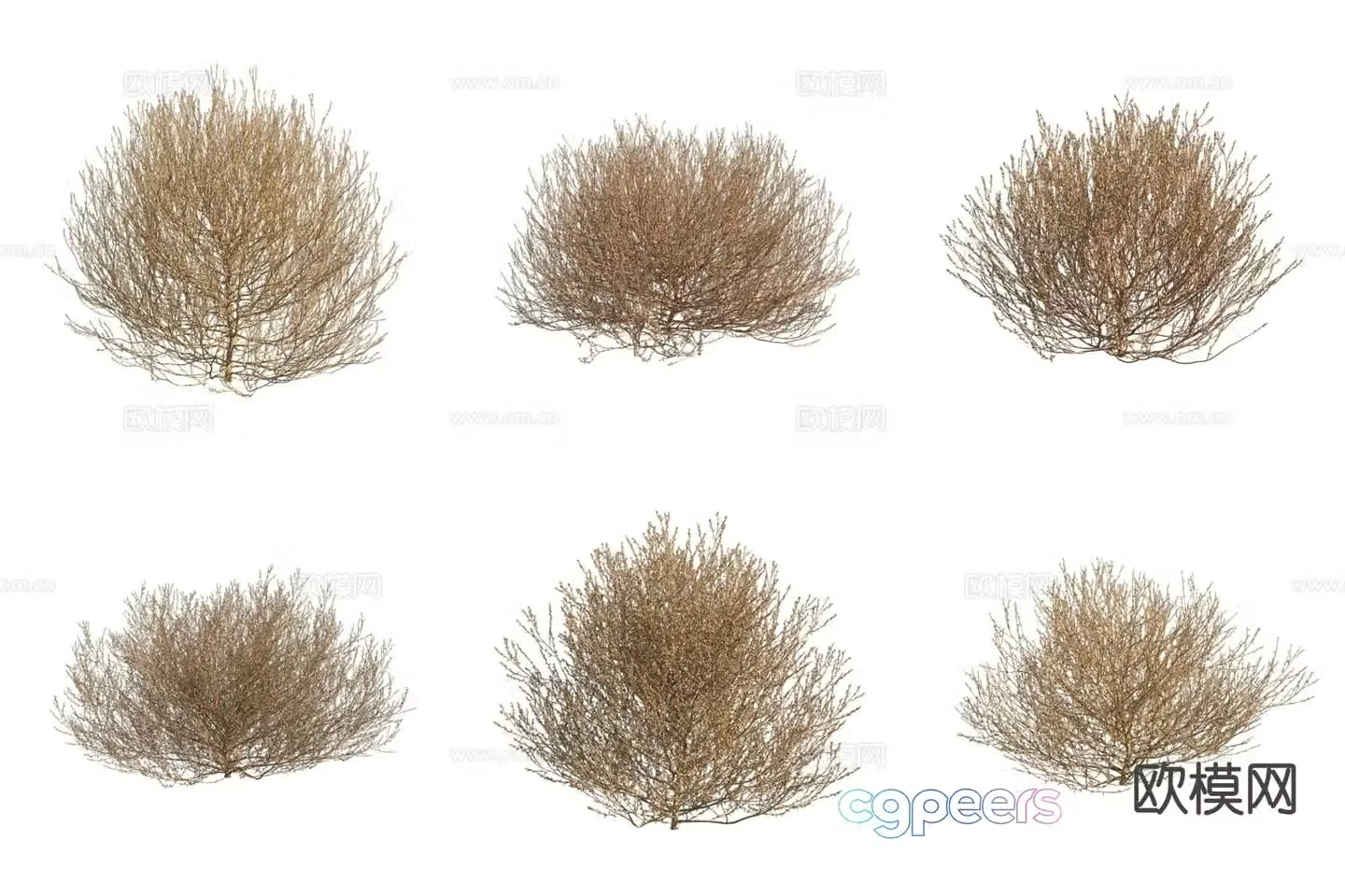 Tumbleweed Shrub 3d Model